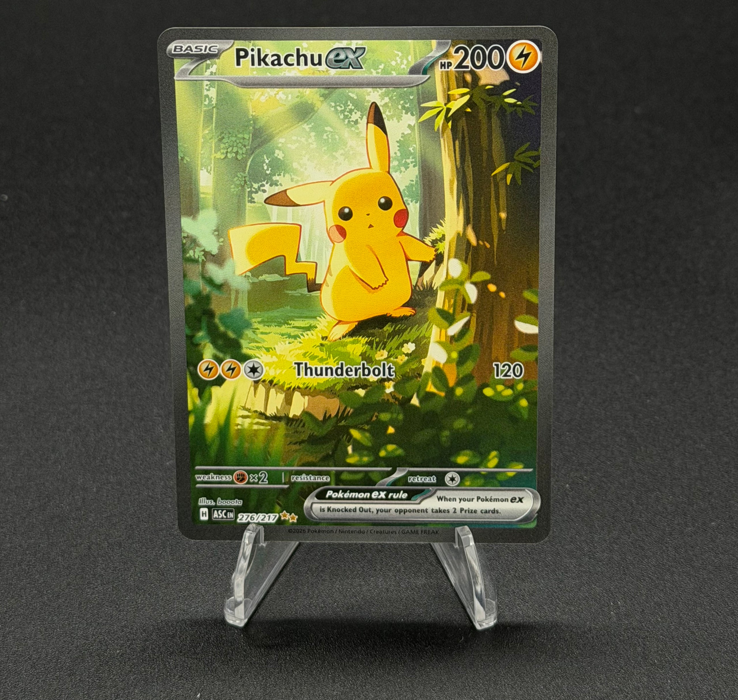 Pokémon Singles